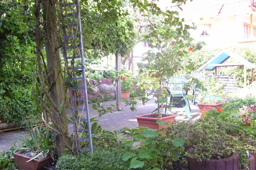 Ferienwohnung Dietlinde Bad Blankenburg Pokoj fotografie